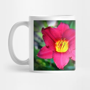 Vibrant Red Lily Mug